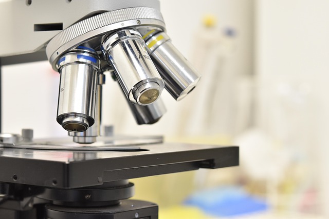 評價聚氨酯泡沫表皮增厚劑對冷鏈物流車廂隔熱層表面密實(shí)程度及防潮性的提升