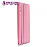 散熱器十大品牌哪家好:使節(jié)能發(fā)揮到極致！