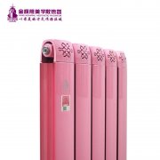 共享延長(zhǎng)暖氣片品牌系統(tǒng)壽命的方法