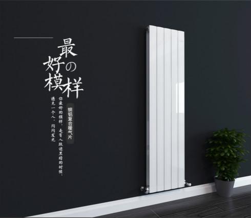 暖氣片,家用自采暖